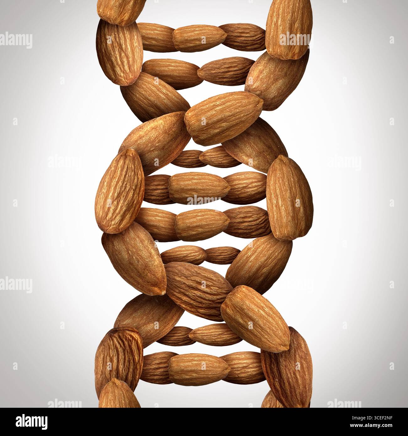 Mandorle e salute come mangiare una mandorla regolarmente può aiutare a ridurre il rischio di malattie cardiache, diabete ipertensione obesità declino ognitivo cert Foto Stock