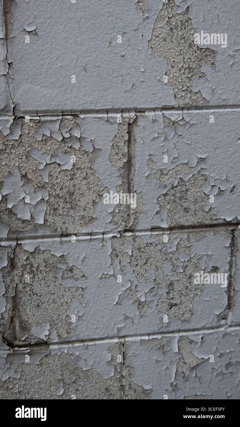 struttura di fondo della vernice sbucciata su cemento, parete rettangolare, vernice bianca che si stacca per rivelare lo strato sottostante il vecchio materiale atmosferico deve essere riparato Foto Stock