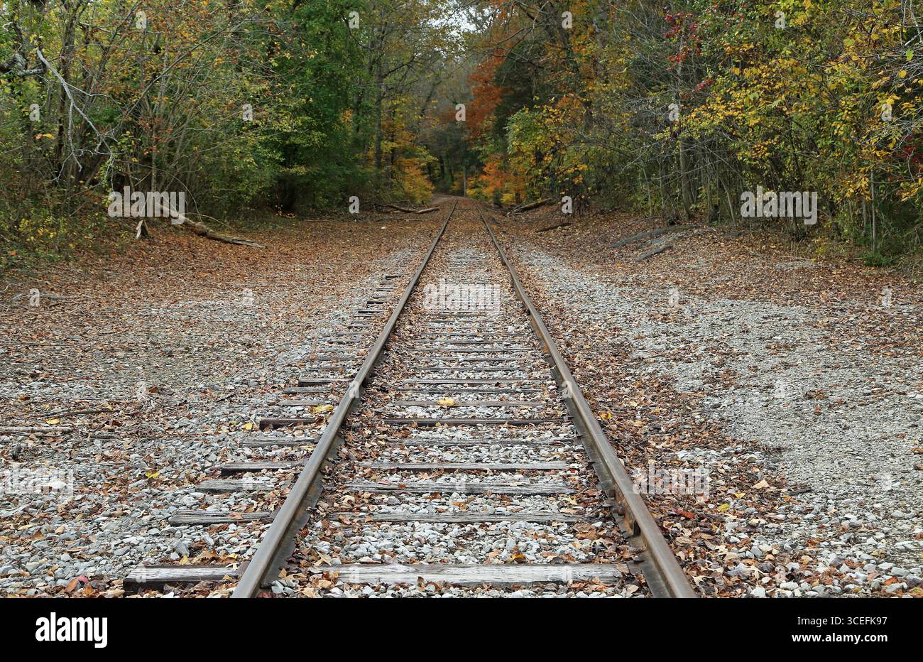 Ferrovia e ferrovia - Rock Island State Park, Tennessee Foto Stock