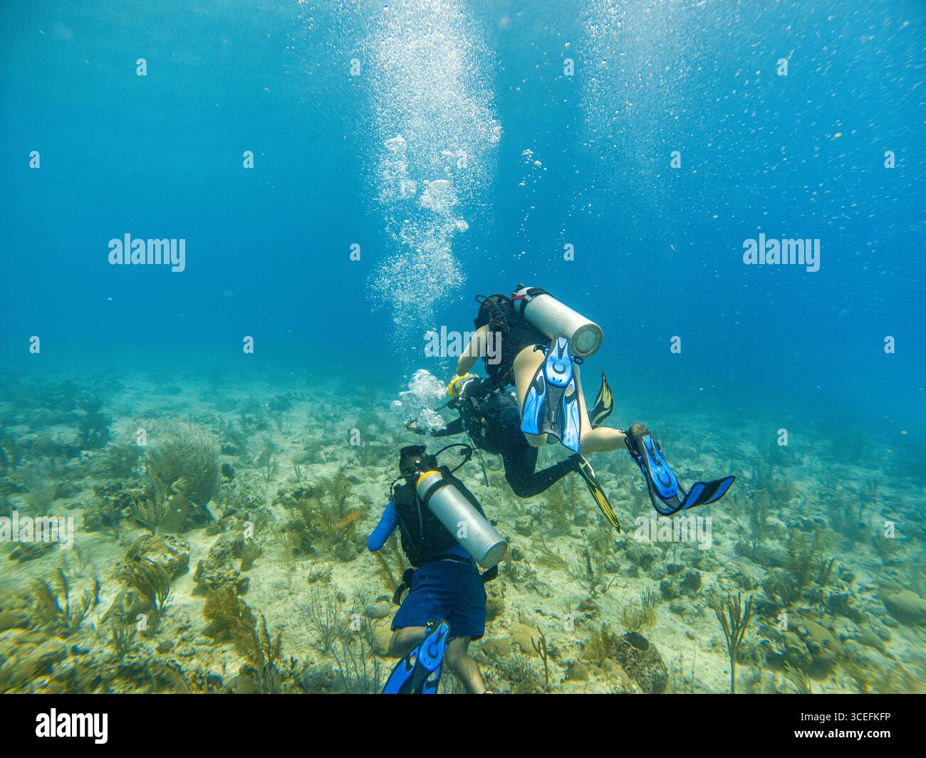Due subacquei che esplorano il mondo sottomarino di San Andres, Colombia, mostrando la vibrante vita marina e le acque cristalline. Foto Stock
