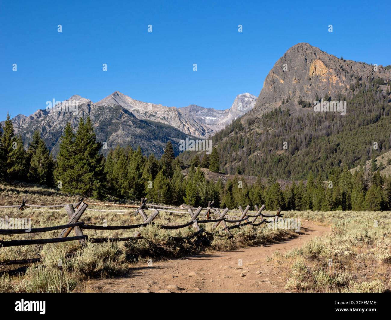 ID011112-00..... IDAHO - recinzione e strada nelle Pioneer Mountains, Salmon-Challis National Forest. Foto Stock ID011112-00..... IDAHO - recinzione e strada nelle Pioneer Mountains, Salmon-Challis National Forest. Foto Stock