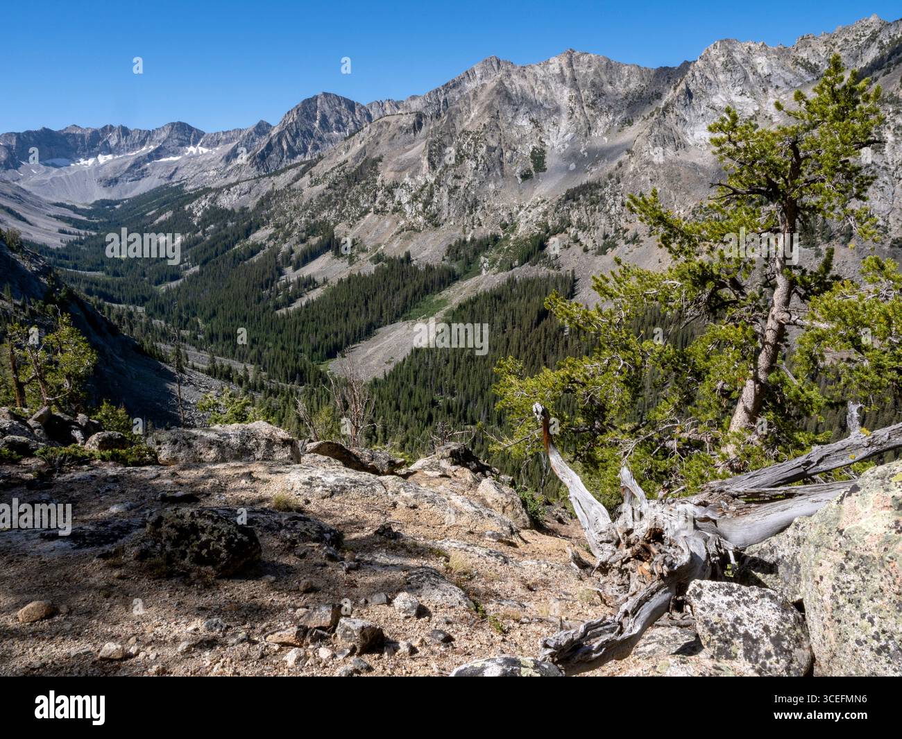 ID011113-00..... IDAHO - le Pioneer Mountains dal Surprise Valley Trail, Salmon-Challis National Forest. Foto Stock