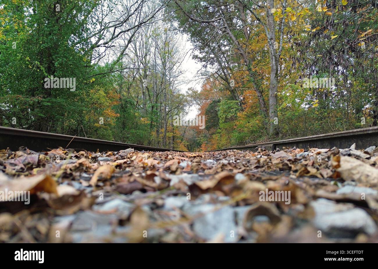 Rotaie ferroviarie in prospettiva rana - Rock Island State Park, Tennessee Foto Stock