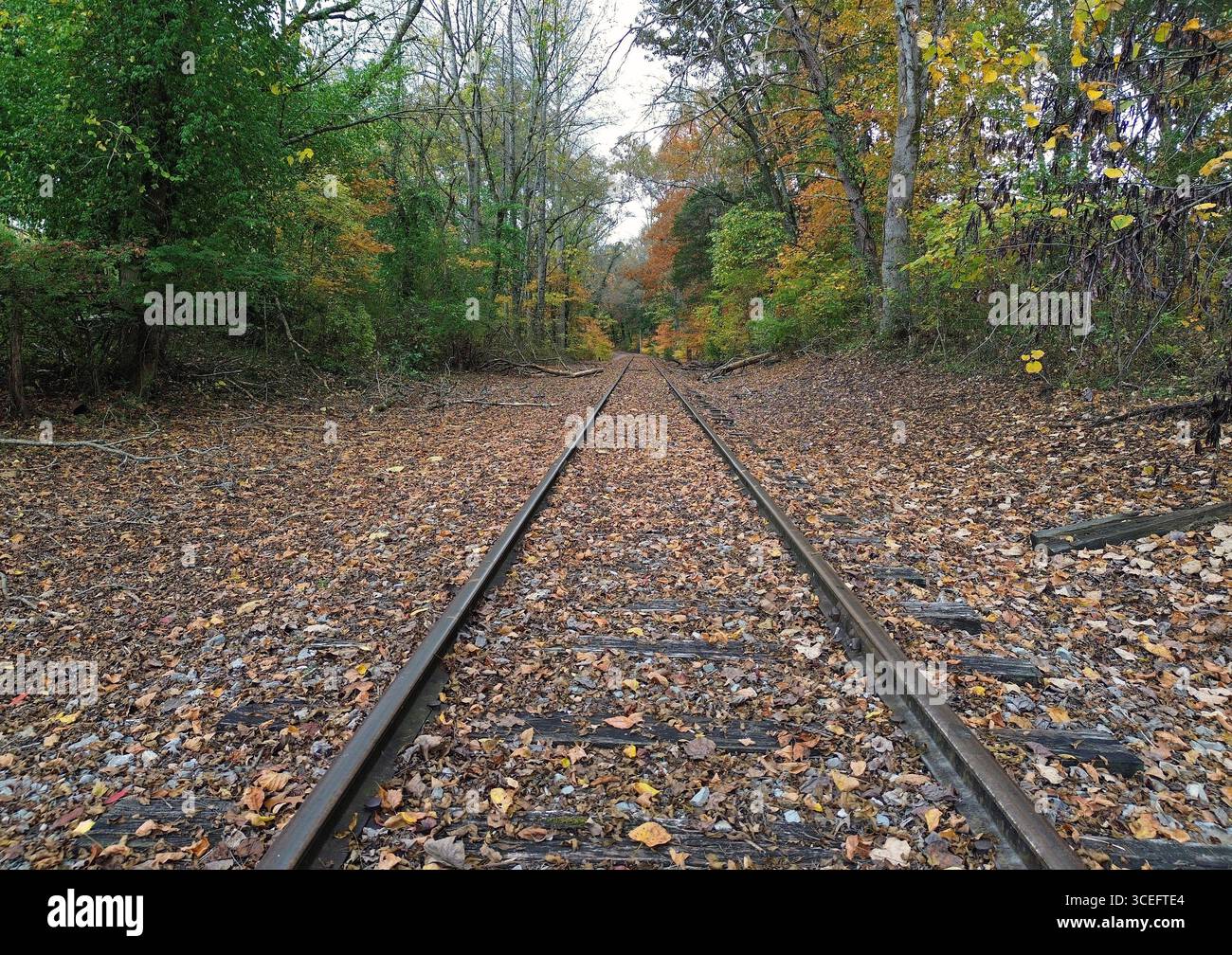 Rails and Leaves - Rock Island State Park, Tennessee Foto Stock