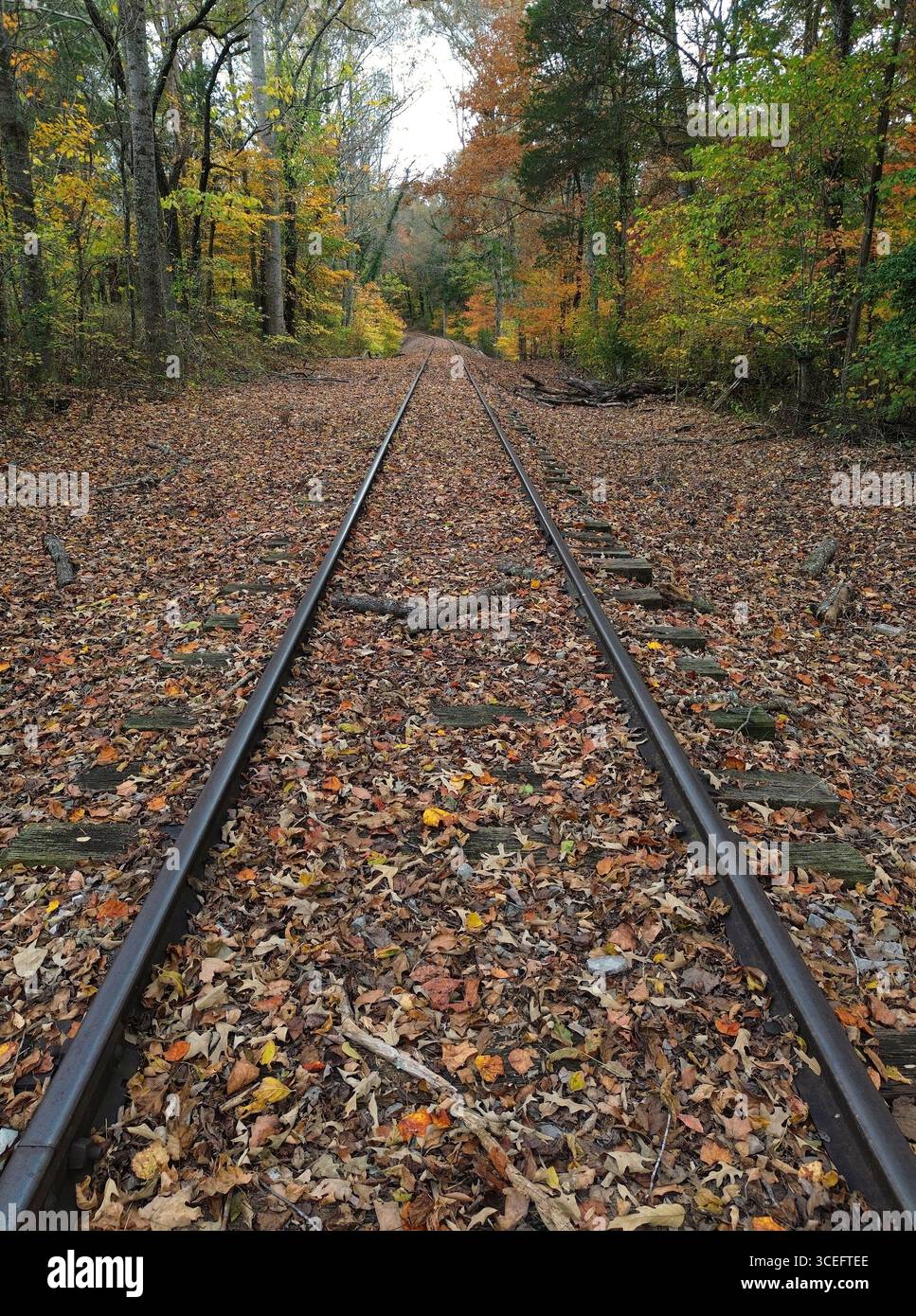 Rails Vertical - Rock Island State Park, Tennessee Foto Stock