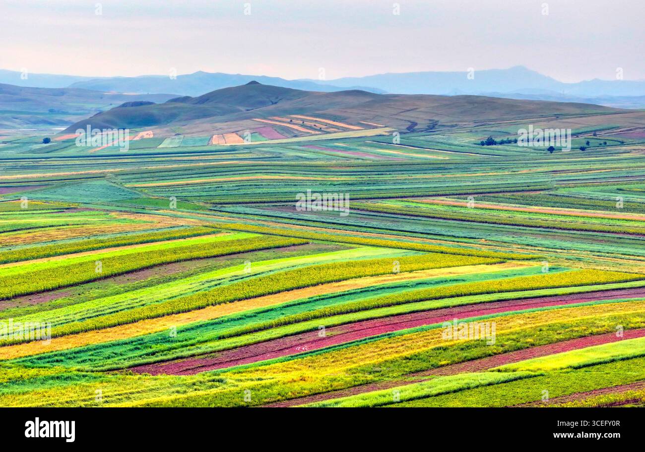 HOHHOT, CINA - AUGUSST 17, 2025 - Vista aerea del colorato paesaggio agricolo di Halle Town, Hohhot City, Mongolia interna, Cina il 17 agosto 2025. Foto Stock