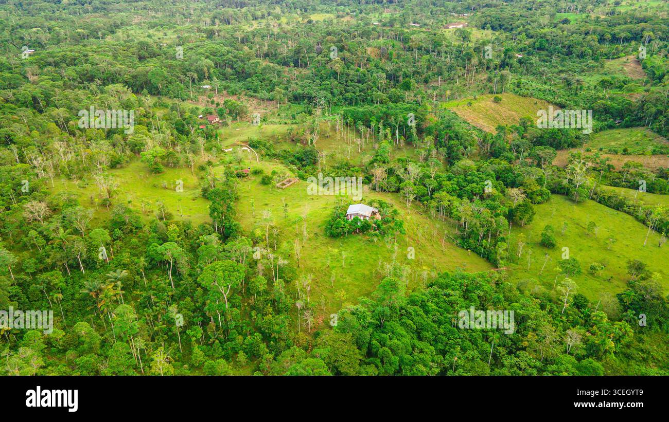 Splendida vista aerea che mostra il vibrante paesaggio verde di Putumayo, Colombia, con macchie di foresta e campi aperti. Foto Stock