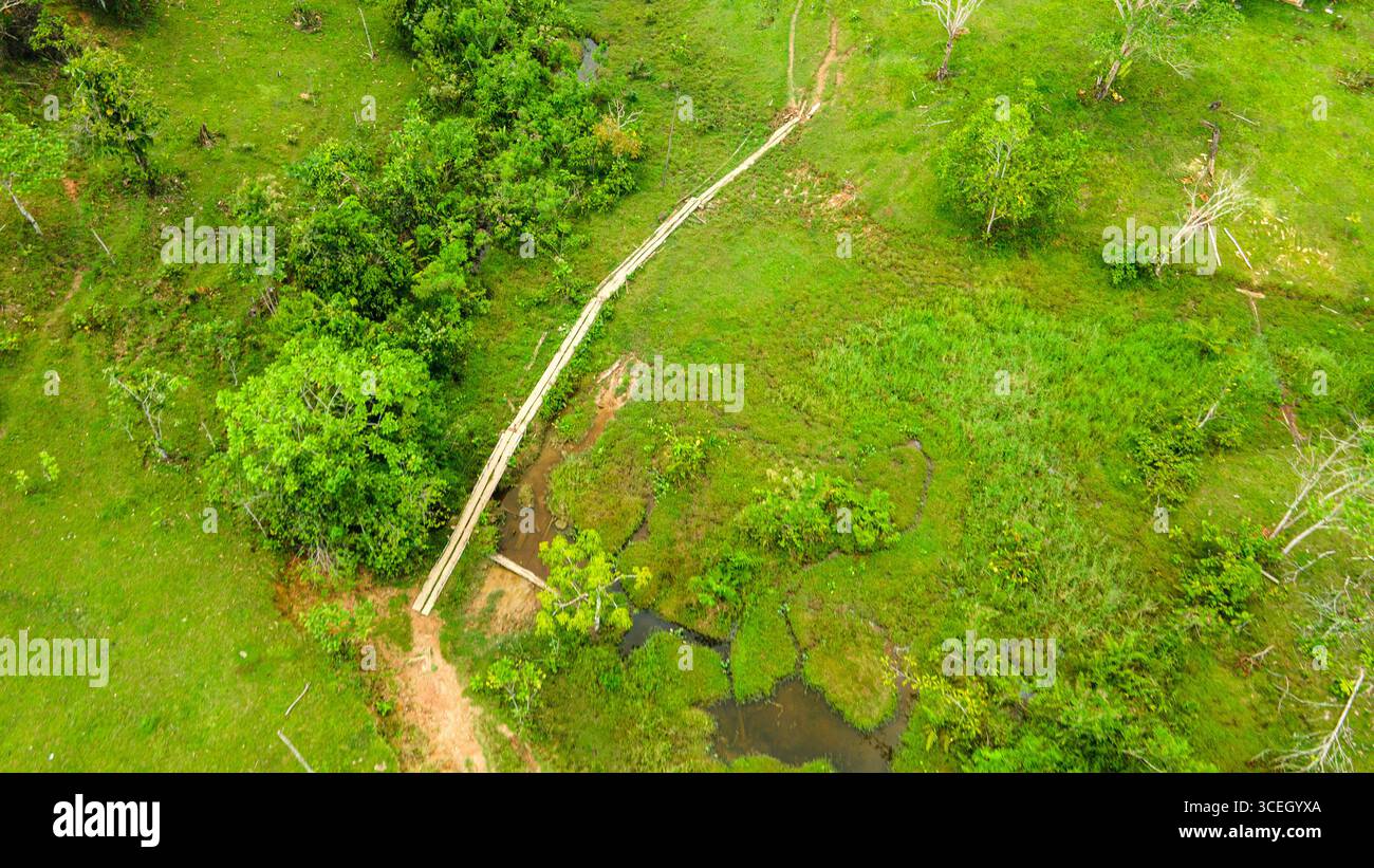 Vista aerea panoramica che mostra un vivace paesaggio verde con un ponte di legno che attraversa un torrente a Putumayo, Colombia. Foto Stock