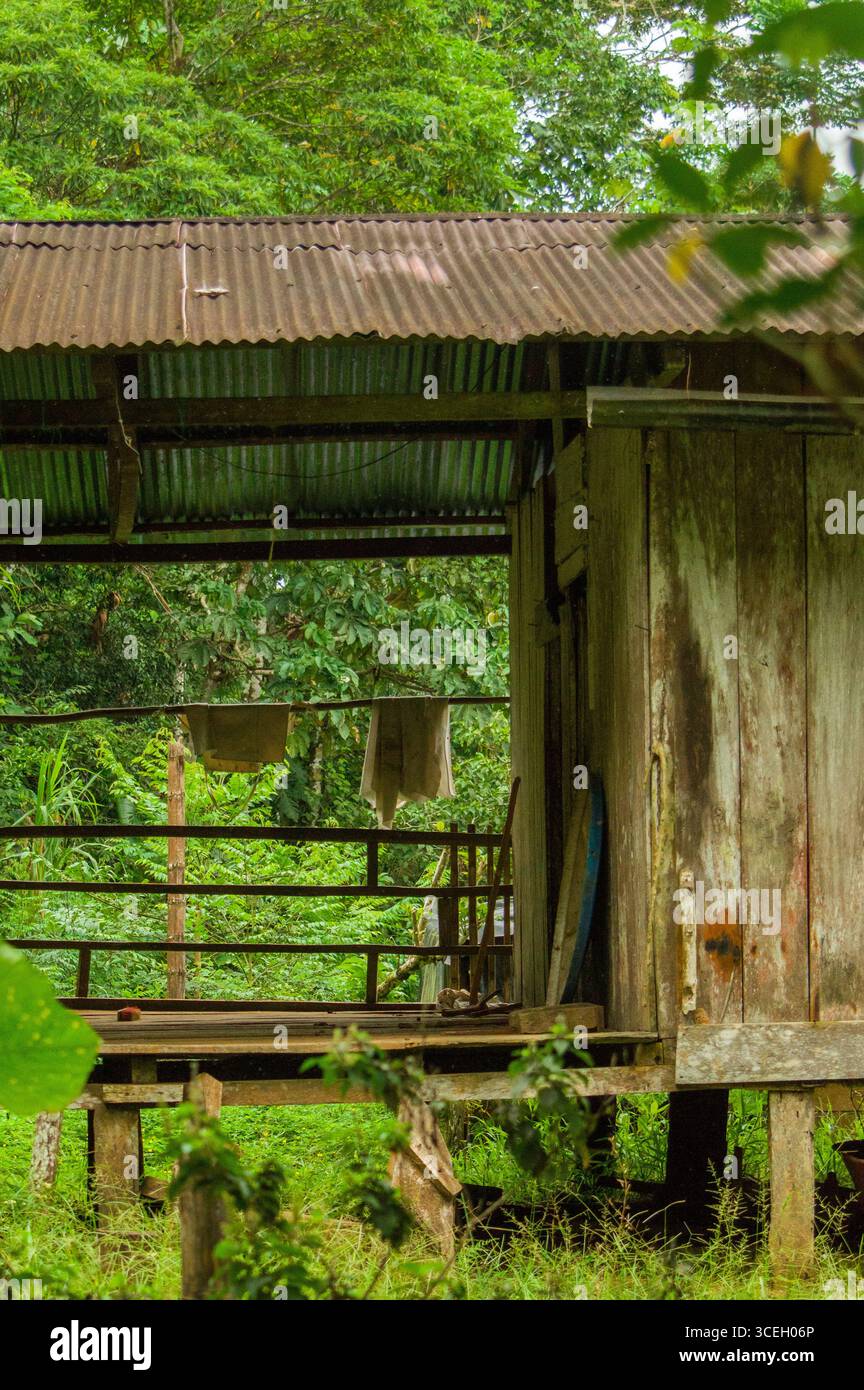 Una rustica casa in legno circondata da vegetazione lussureggiante a Putumayo, Colombia, che riflette la bellezza naturale della regione. Foto Stock
