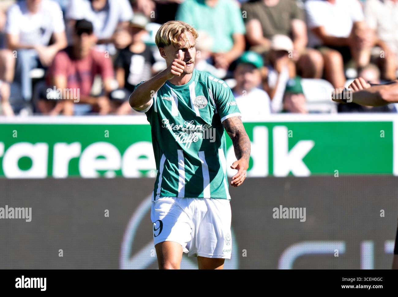 Viborg, Danimarca. 17 agosto 2025. Tim Freriks di Viborg nel match di Super League tra Viborg FF e Silkeborg IF all'Energi Viborg Arena, domenica 17 agosto 2025. (Foto: Henning Bagger /Ritzau Scanpix) credito: Ritzau/Alamy Live News Foto Stock