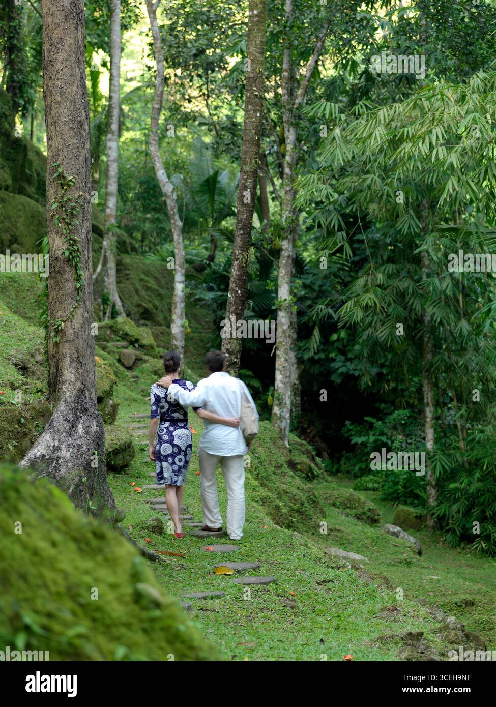Una coppia fa una passeggiata lungo un sentiero in pietra in una foresta tropicale. MR_RuthBeardsell.jpg MR_DavidBeardsell.jpg Foto Stock