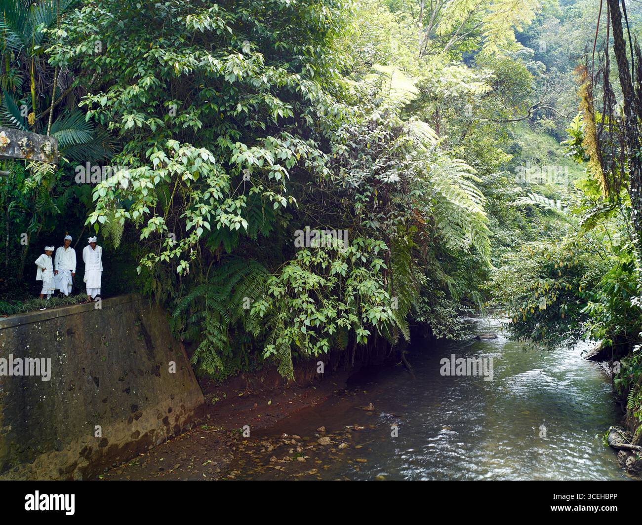 I sacerdoti vestiti di bianco pregano accanto a una diga di irrigazione d'acqua usata da un Subak mentre gli abitanti del villaggio lo guardano. Foto Stock