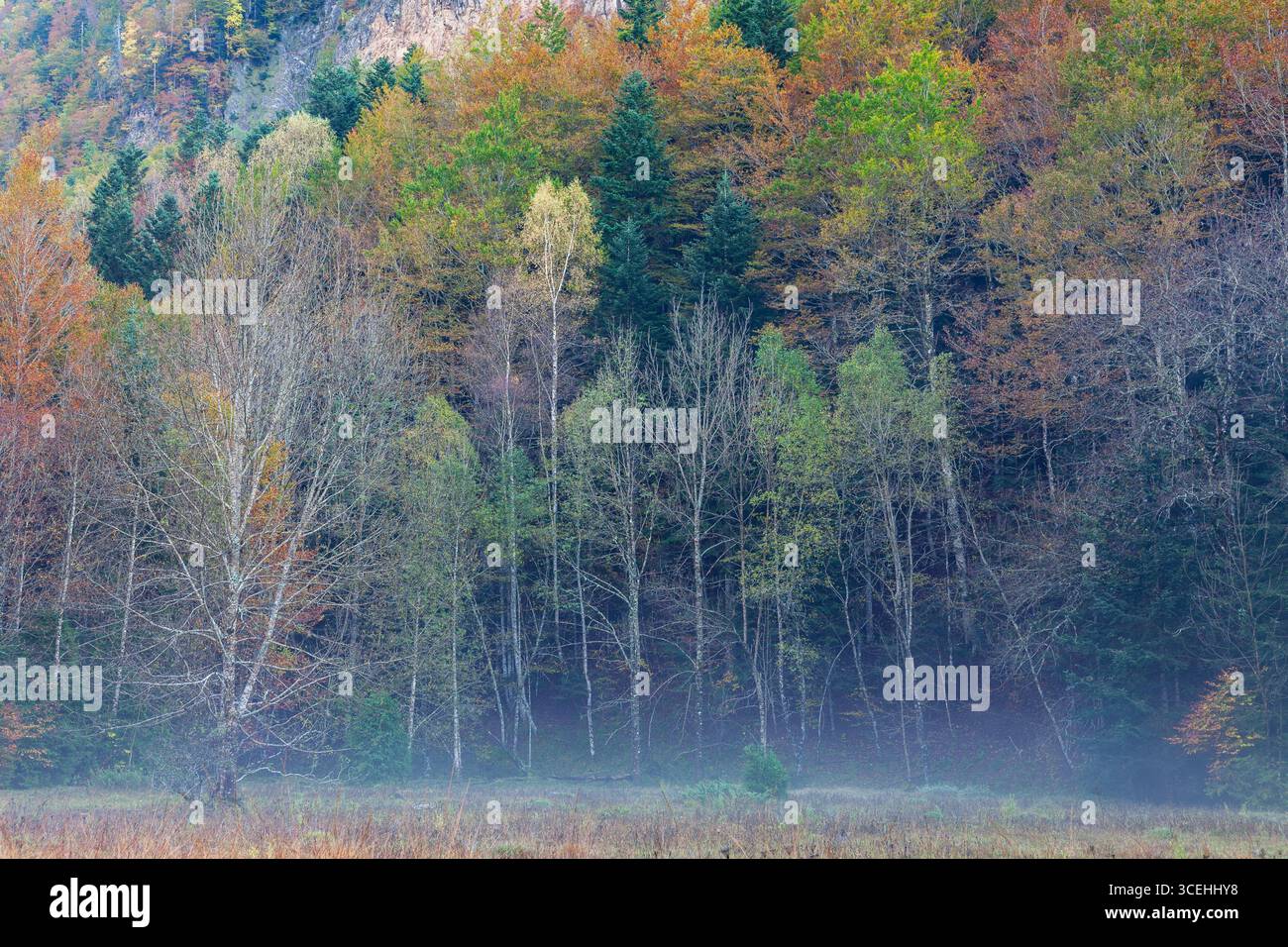 Paesaggio del Parco Nazionale Ordesa e Monte Perdido. Pirenei, Spagna Foto Stock
