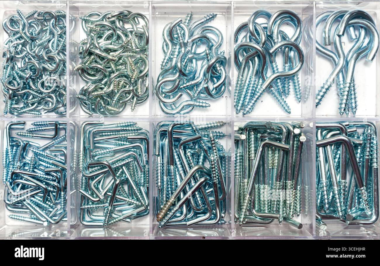 Una scatola di nuovi ganci da parete in acciaio di varie dimensioni, conservati in celle di plastica. Foto Stock