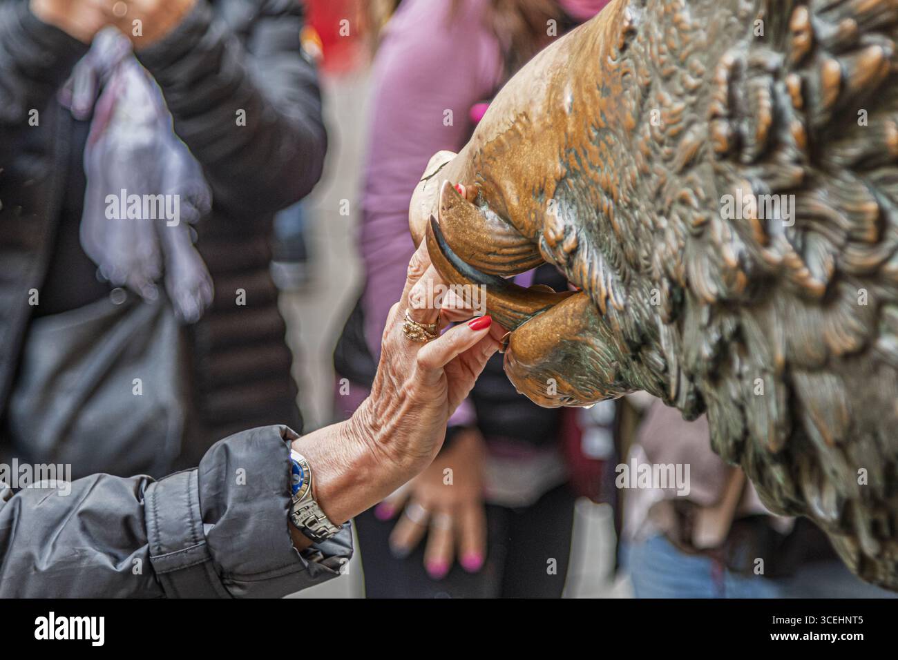 Fontana del Porcellino, Statua del cinghiale, Firenze Foto Stock