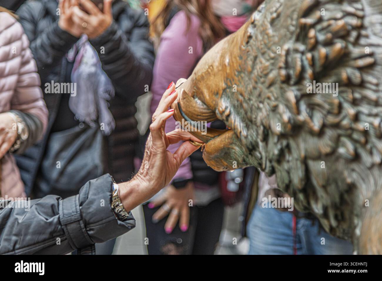 Fontana del Porcellino, Statua del cinghiale, Firenze Foto Stock