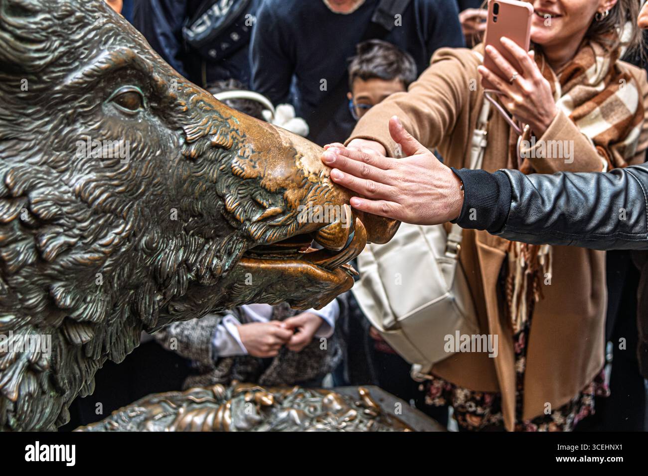 Fontana del Porcellino, Statua del cinghiale, Firenze Foto Stock