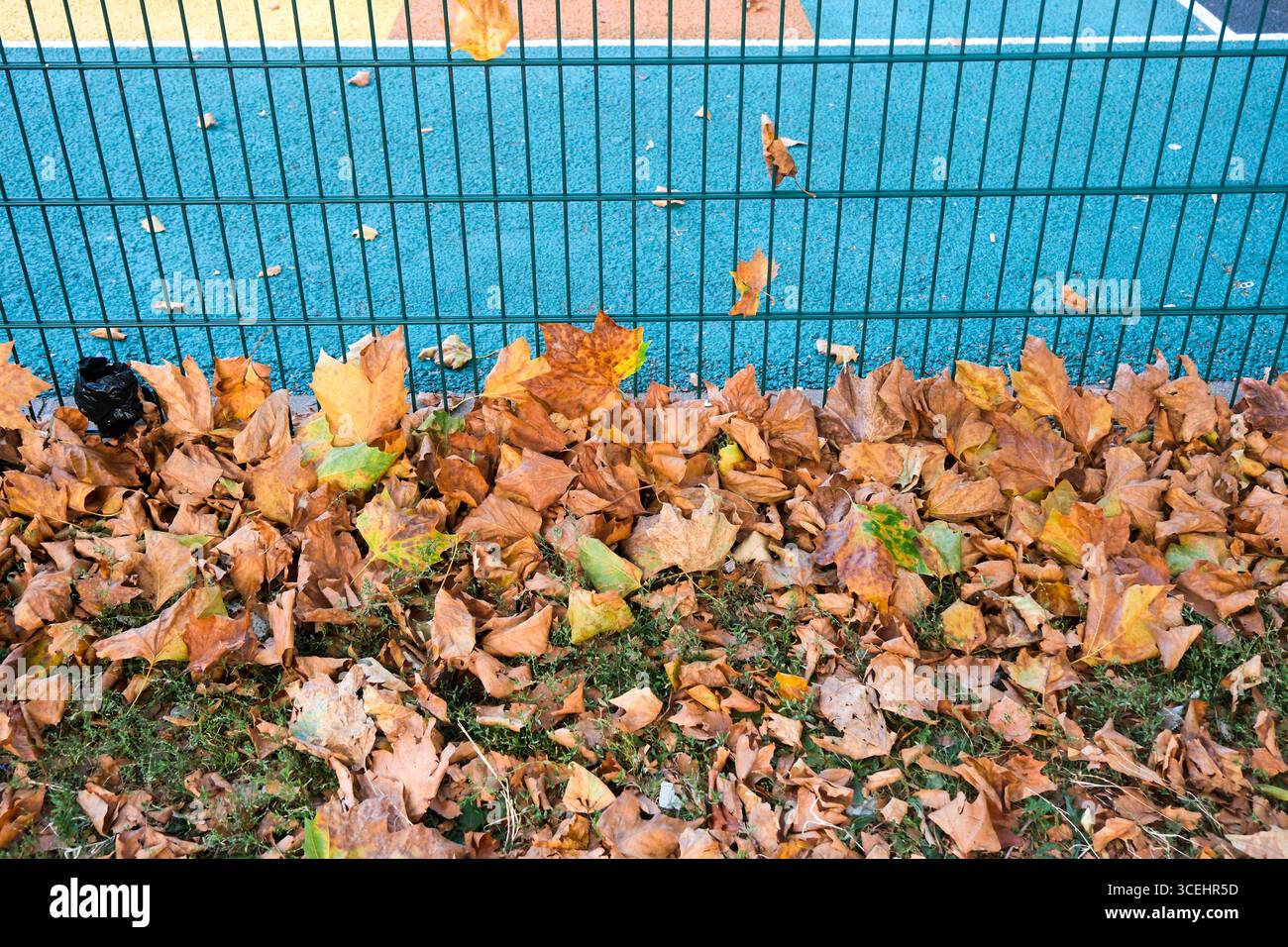Londra, Regno Unito. 18 agosto 2025. Meteo nel Regno Unito: Segni di inizio autunno, foglie cadute nel nord di Londra. Crediti: Matthew Chattle/Alamy Live News Foto Stock