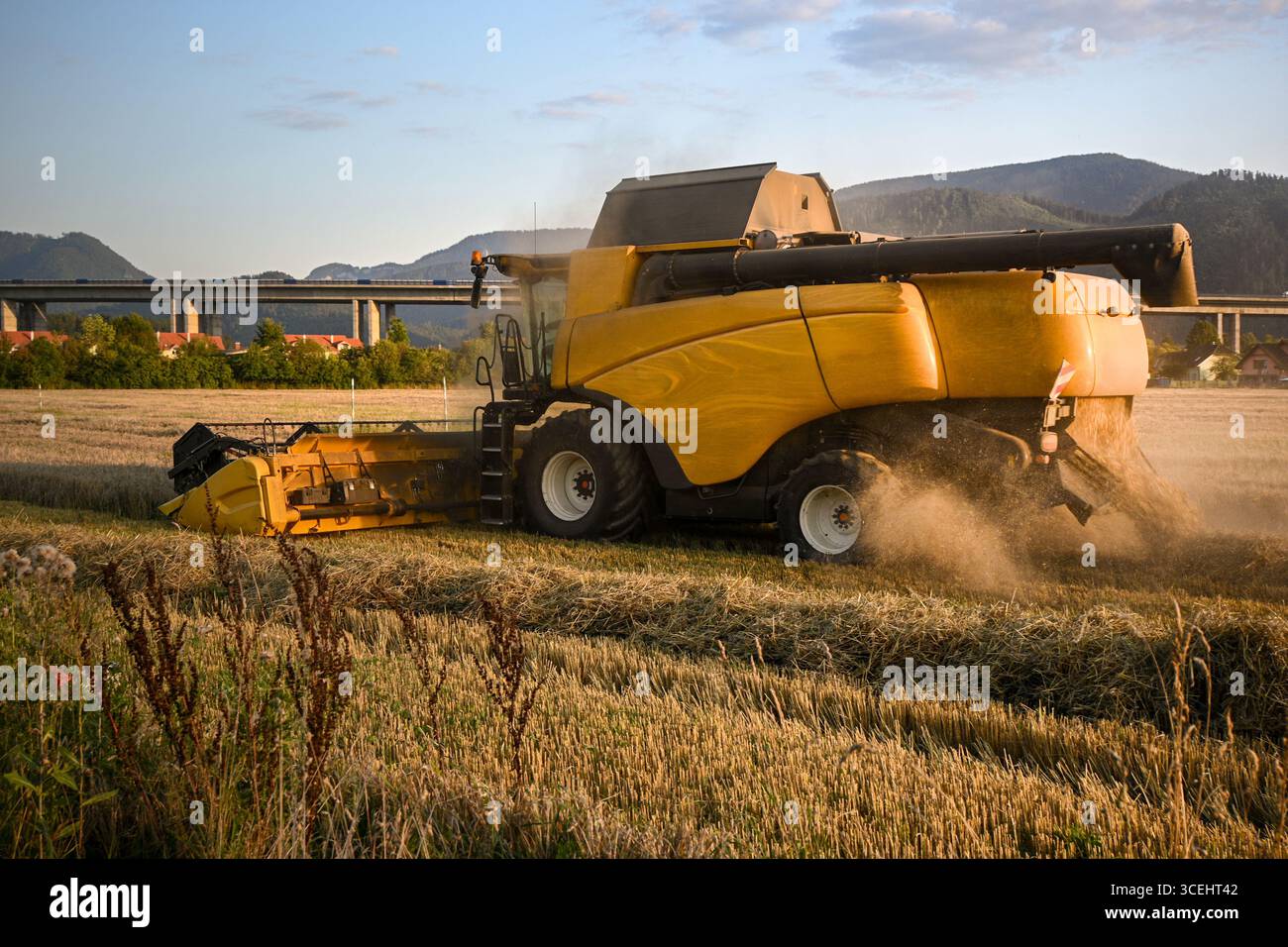 Mietitrebbia gialla che lavora in un campo di grano, lasciando paglia e polvere dietro, vicino a un ponte autostradale e alle montagne al tramonto. Foto Stock
