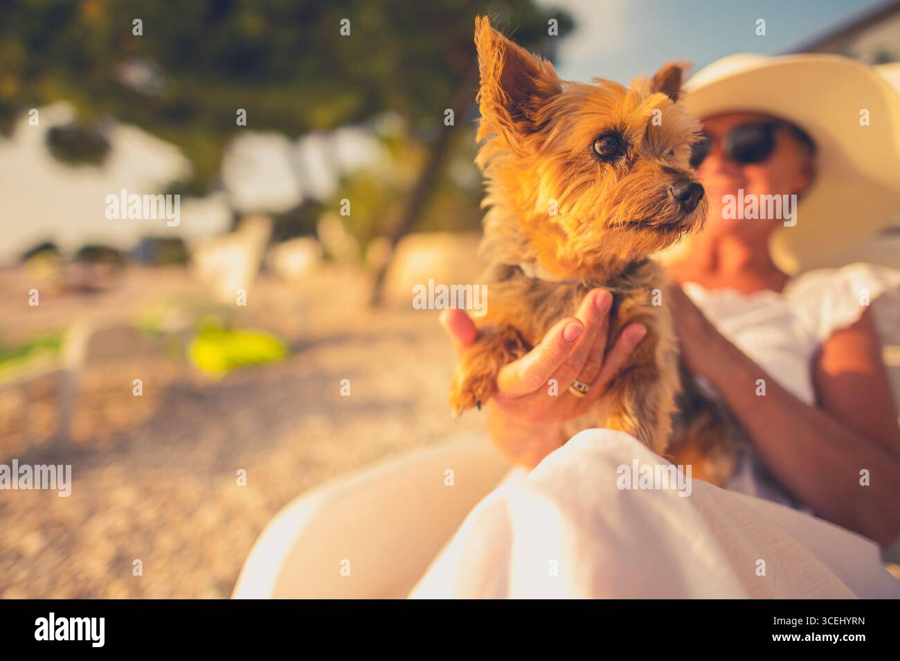Una donna con un cappello da sole siede comodamente sulla spiaggia, tenendo in mano il suo piccolo cane mentre si gode un tranquillo tramonto sul mare. Onde morbide si infrangono nelle vicinanze. Foto Stock