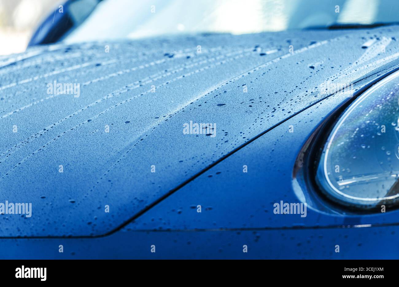 Le gocce d'acqua si raccolgono sull'elegante cappuccio coperto con pellicola protettiva per auto di un'auto blu sotto la luce naturale. Foto Stock
