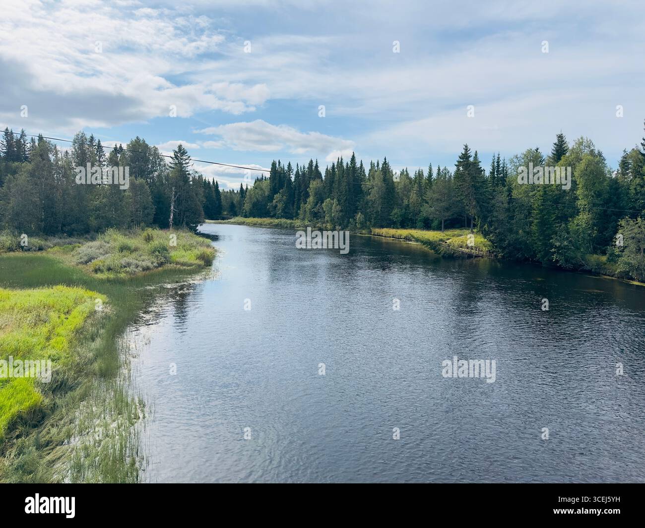 Una vista pittoresca di un fiume che si snoda attraverso una fitta foresta verde in una giornata nuvolosa. Foto Stock