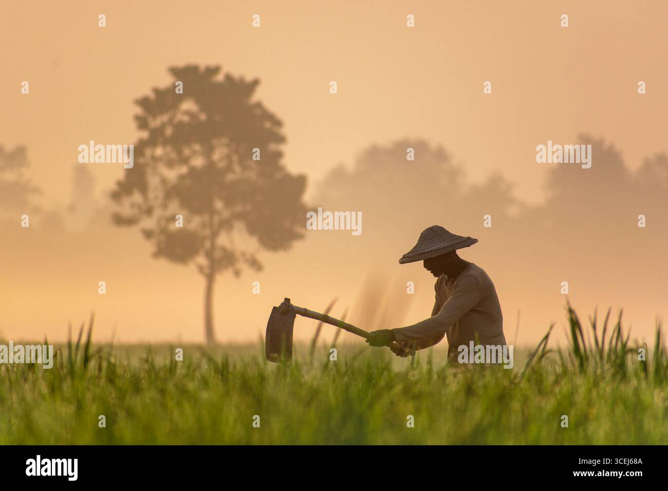 Bogura, Bangladesh - 25 ottobre 2018: Vista di un agricoltore solitario, sagomato contro l'alba morbida e nebulosa, lavora la terra con una zappa, la luce dorata dipinge il campo. Foto Stock