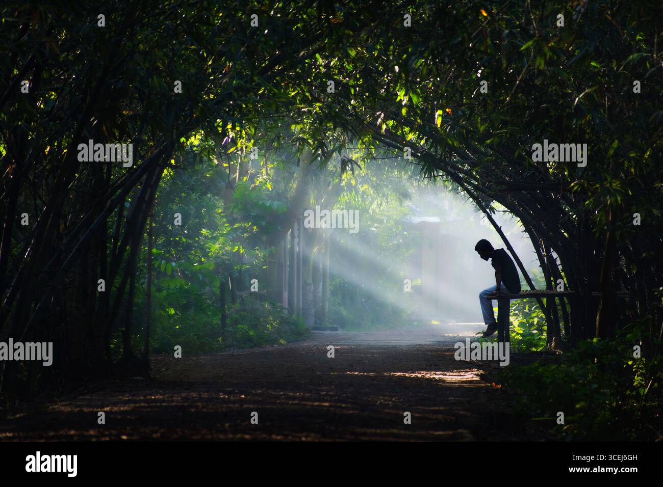 Bogura, Bangladesh - 7 novembre 2017: Vista di una figura solitaria sagomata contro l'eterea luce che filtra attraverso l'arco di bambù, proiettando lunghe ombre sul sentiero. Foto Stock