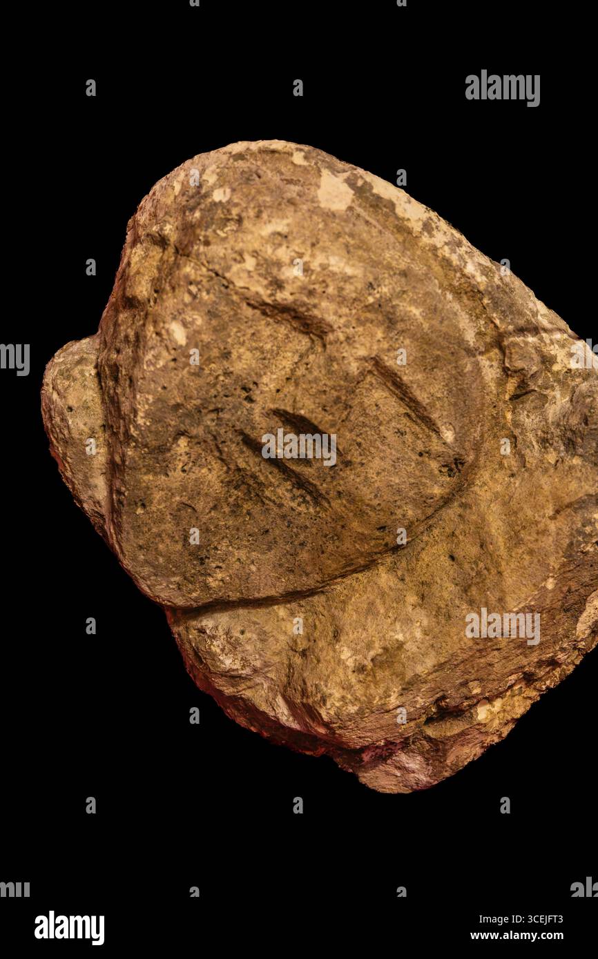 Volto scolpito in pietra come oggetto funerario fenicio, tomba scavata nella roccia vicino a Qallilja, Rabat, il Museo Nazionale di Archeologia espone importanti manufatti fr Foto Stock
