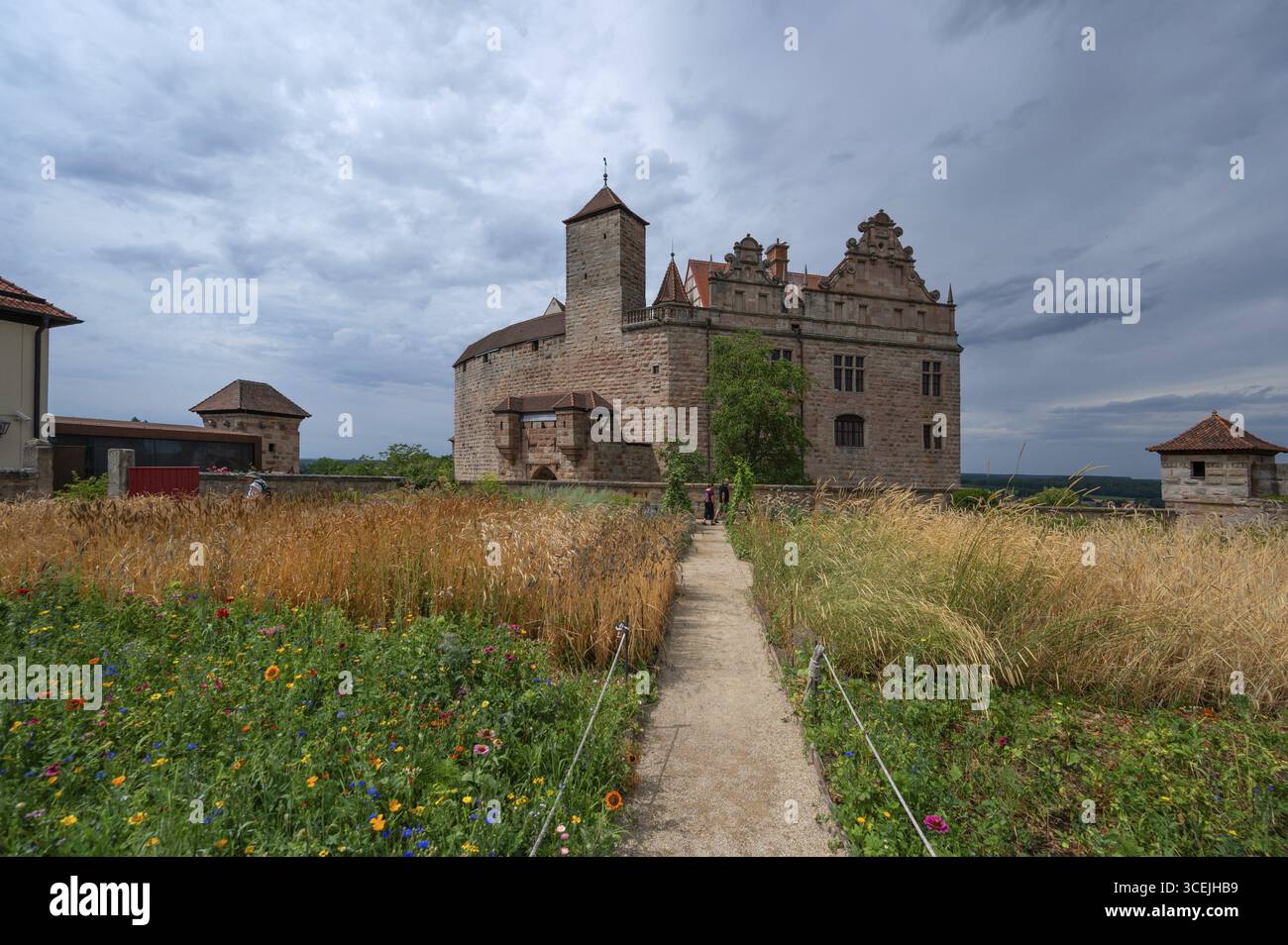 Castello di Cadolzburg, XIII secolo, di fronte ad un giardino con coltivazione sperimentale di cereali, Burghof 3, Cadolzburg, Franconia media, Baviera, germe Foto Stock