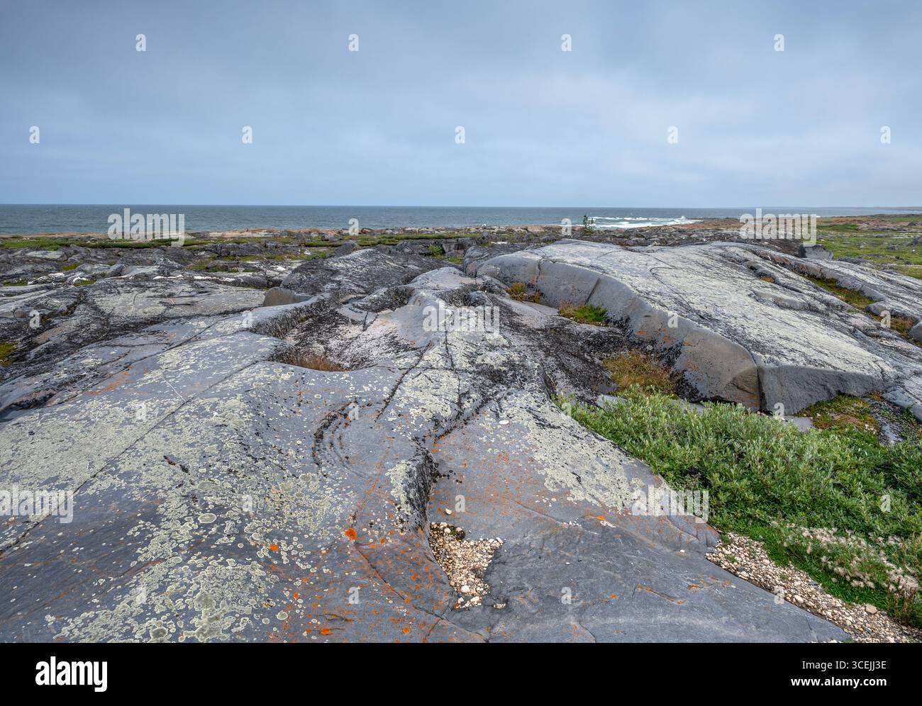 Costa rocciosa della Baia di Hudson a Churchill, Manitoba, Canada Foto Stock