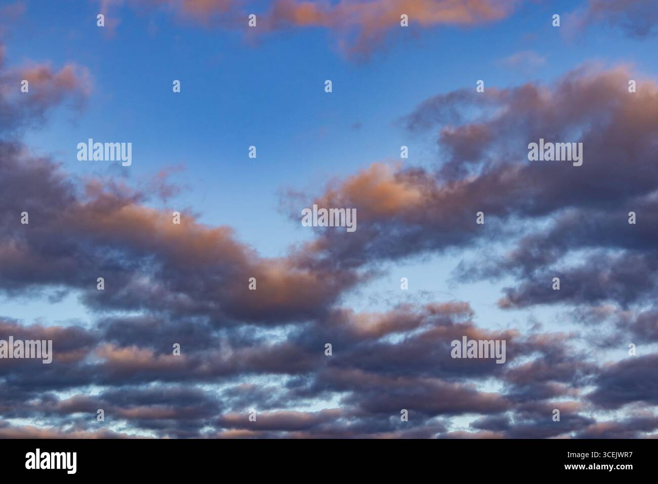 Nuvole a strati al crepuscolo che si illuminano di luce arancione soffusa contro un cielo blu profondo Foto Stock