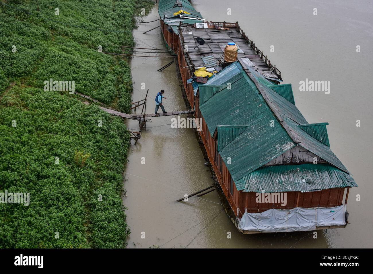 Srinagar, India. 18 agosto 2025. Un uomo cammina verso la sua casa galleggiante durante le precipitazioni a Srinagar. Almeno 67 persone sono state uccise e altre decine sono scomparse dopo due incidenti di pioggia torrenziale scatenata da nuvole nel Jammu e nel Kashmir. Nel frattempo, piogge da moderate a pesanti hanno attaccato ampie parti del Kashmir spingendo le autorità a istituire sale di controllo di emergenza in parti vulnerabili della valle, hanno detto i funzionari. Credito: SOPA Images Limited/Alamy Live News Foto Stock