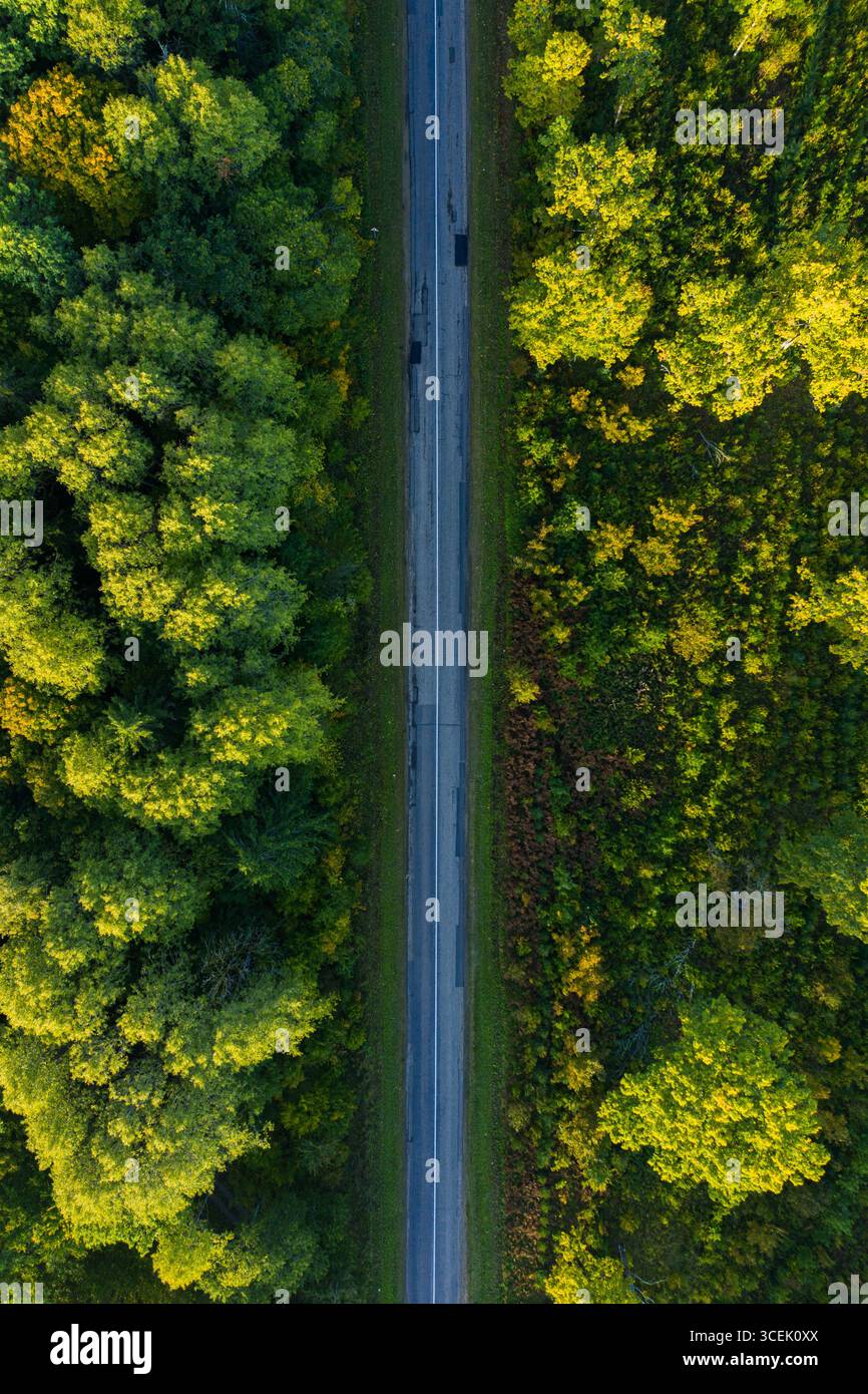 Vista aerea del drone di una strada rettilinea che taglia attraverso la fitta foresta verde in Lituania, paesaggio naturale panoramico, viaggi, ambiente e trasporti Foto Stock