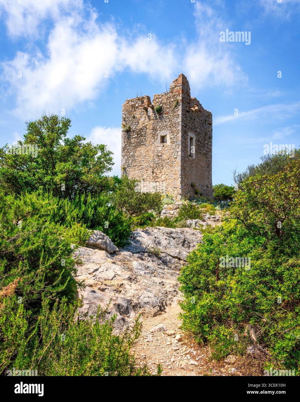 Torre di Castelmarino e vegetazione in primo piano del Parco della Maremma noto anche come Parco dell'Uccellina. Provincia di Grosseto, regione Toscana, Ital Foto Stock