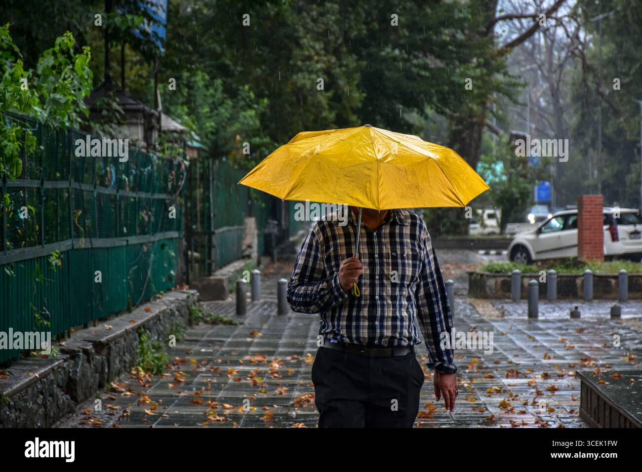 Srinagar, India. 18 agosto 2025. Un pendolare con un ombrello cammina lungo la strada durante le piogge a Srinagar. Almeno 67 persone sono state uccise e altre decine sono scomparse dopo due incidenti di pioggia torrenziale scatenata da nuvole nel Jammu e nel Kashmir. Nel frattempo, piogge da moderate a pesanti hanno attaccato ampie parti del Kashmir spingendo le autorità a istituire sale di controllo di emergenza in parti vulnerabili della valle, hanno detto i funzionari. (Foto di Saqib Majeed/SOPA Images/Sipa USA) credito: SIPA USA/Alamy Live News Foto Stock