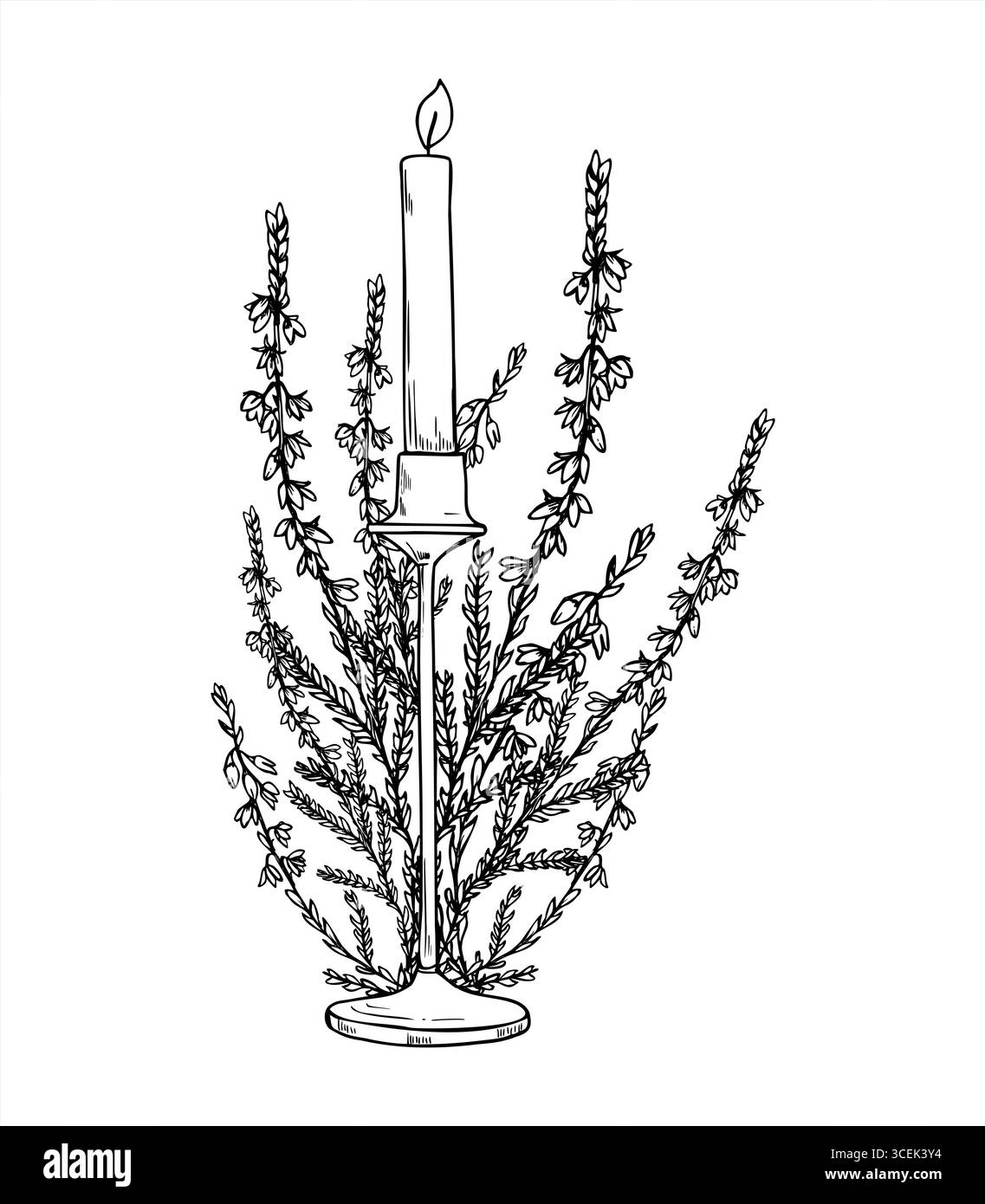 Candelabro monocromatico a combustione vettoriale e bozzetto con inchiostro nero heather bouquet line art. Pianta scandinava sempreverde con disegno di incisione dei fiori per Natale Illustrazione Vettoriale