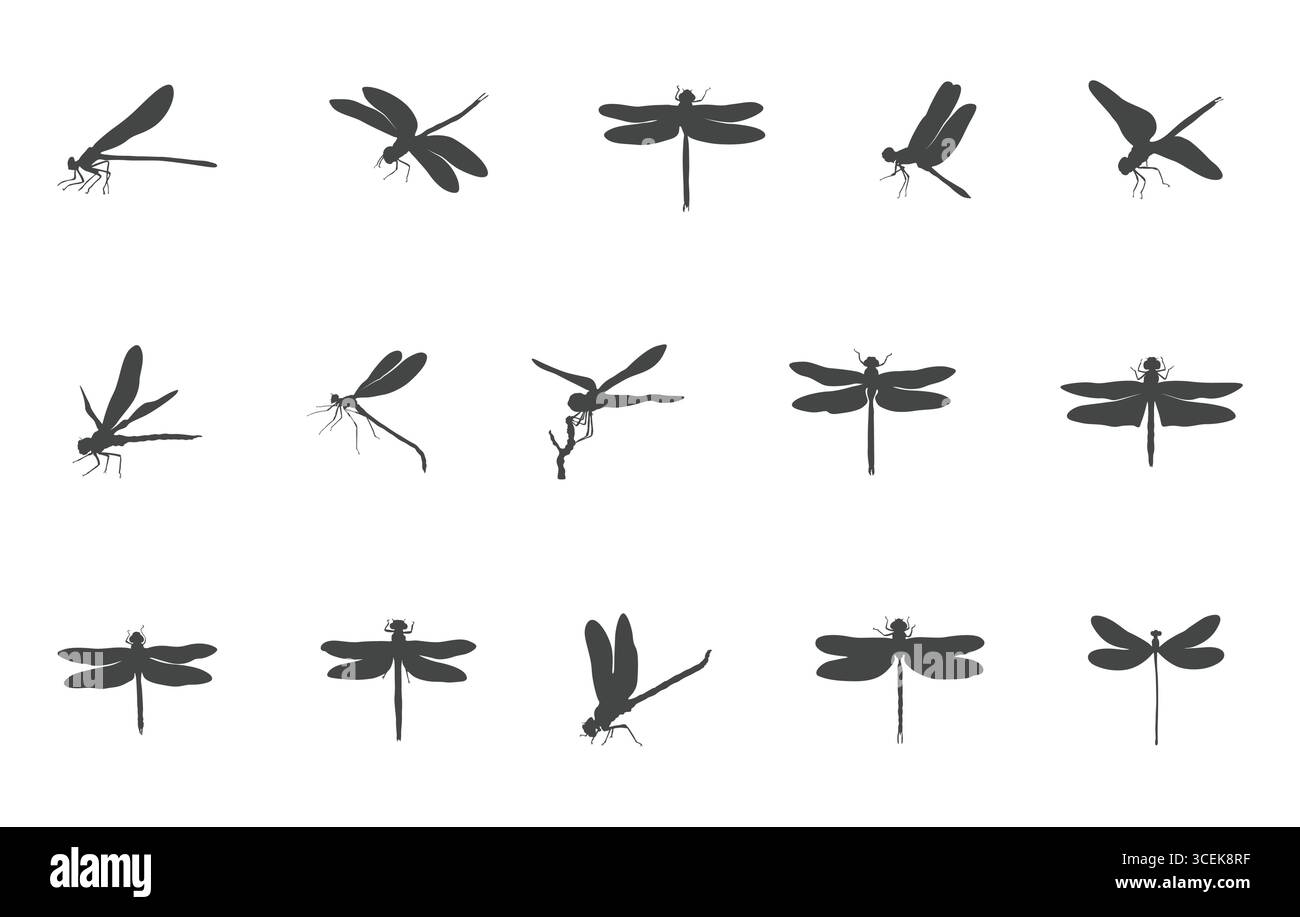 Silhouette Dragonfly, Dragonfly svg, illustrazione vettore Dragonfly, icona Dragonfly, vettore Dragonfly, clipart di Dragonfly. Illustrazione Vettoriale