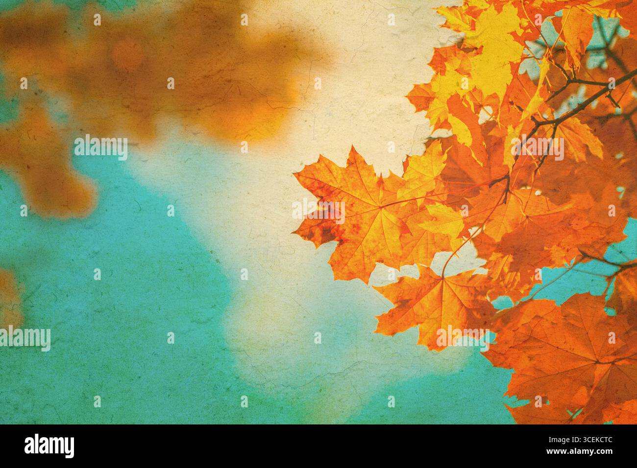 Foglie autunnali su sfondo vintage. Texture grunge Fall perfetta. Foto Stock