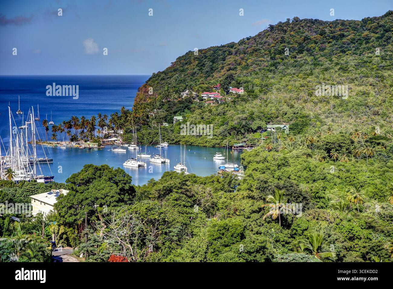 Marigo Bay, Saint Lucia - 27 dicembre 2015: Una vivace vista della Baia di Marigot, Saint Lucia, con catamarani ancorati nelle acque turchesi Foto Stock