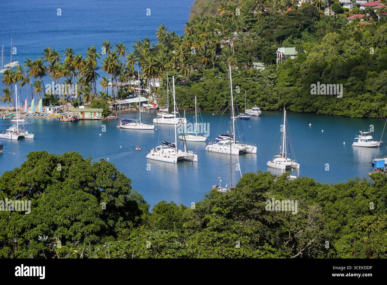Marigo Bay, Saint Lucia - 27 dicembre 2015: Una vivace vista della Baia di Marigot, Saint Lucia, con catamarani ancorati nelle acque turchesi Foto Stock