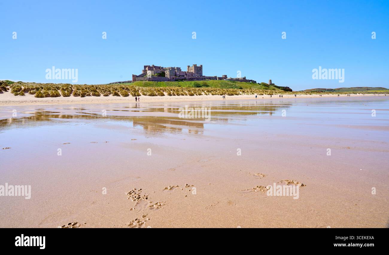 Castello di Bamburgh, attrazione turistica in Northumbria, Inghilterra, Regno Unito Foto Stock