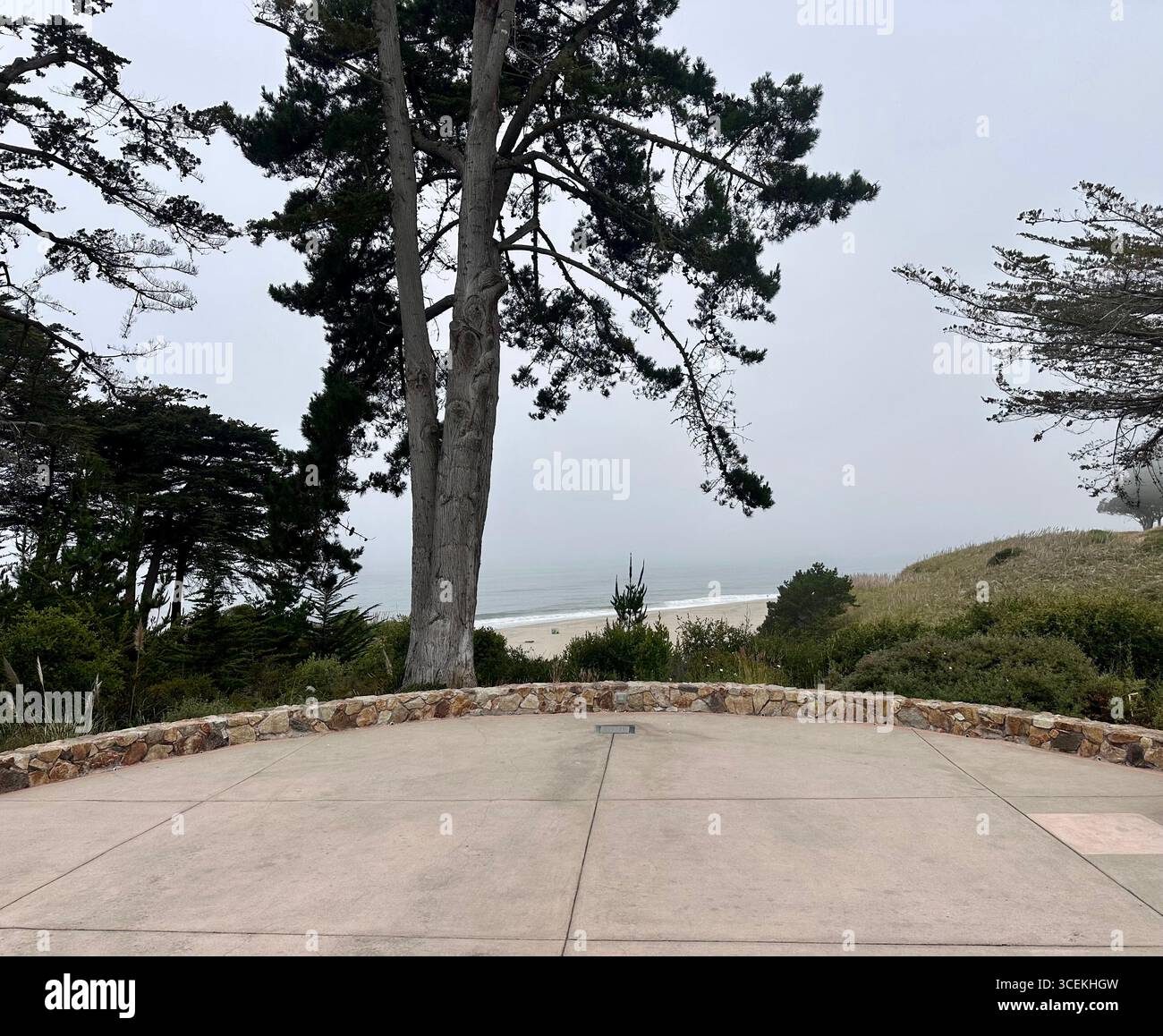 Un cartello rosso e bianco con la scritta "Danger – Hazardous Cliff" si trova vicino a una scogliera ripida che si affaccia sulla spiaggia e sull'Oceano Pacifico in una giornata nebbiosa - Immagine stock catturata con smartphone