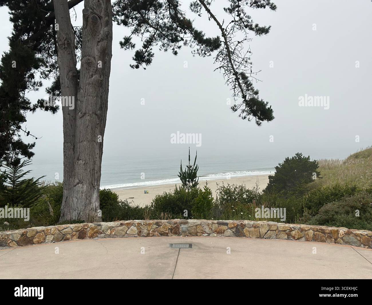 Un cartello rosso e bianco con la scritta "Danger – Hazardous Cliff" si trova vicino a una scogliera ripida che si affaccia sulla spiaggia e sull'Oceano Pacifico in una giornata nebbiosa - Immagine stock catturata con smartphone