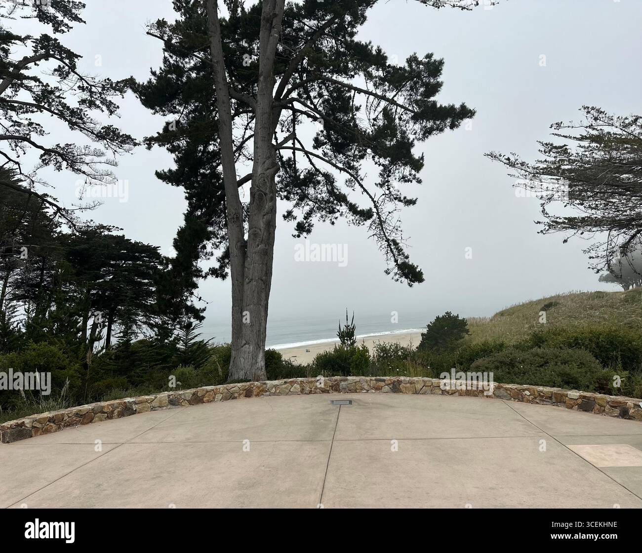 Un cartello rosso e bianco con la scritta "Danger – Hazardous Cliff" si trova vicino a una scogliera ripida che si affaccia sulla spiaggia e sull'Oceano Pacifico in una giornata nebbiosa - Immagine stock catturata con smartphone