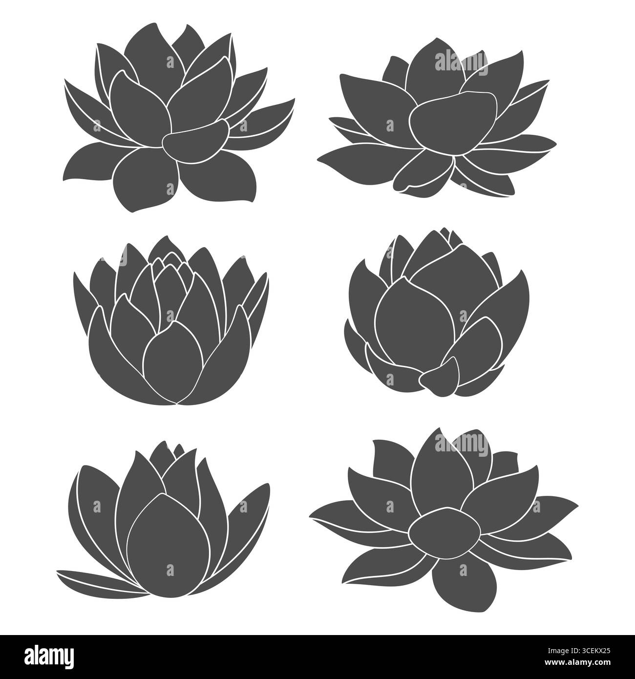 Set di illustrazioni in bianco e nero con giglio d'acqua e loto. Oggetti vettoriali isolati su sfondo bianco. Illustrazione Vettoriale