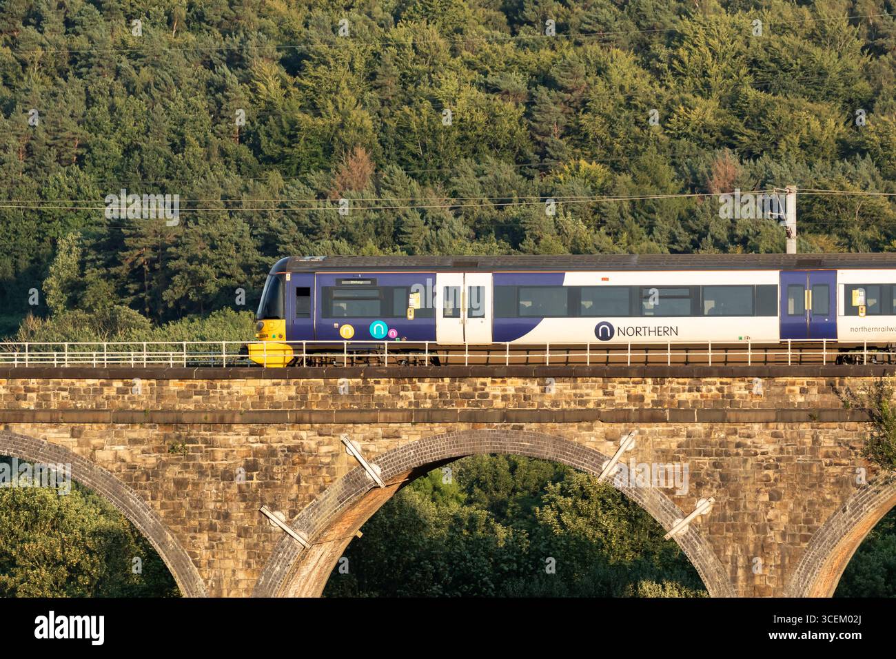 Un'unità elettrica multipla British Rail Class 333 gestita da treni della Northern che viaggiano su un viadotto sulla Wharfedale Railway Line a Baildon, Yorks. Foto Stock