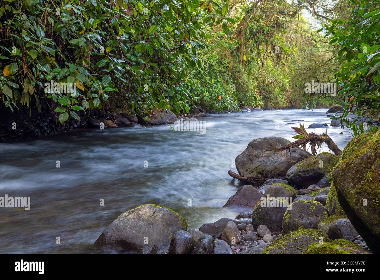 Lungo esposizione del fiume Mindo, foresta nebulizzata di Mindo, Ecuador. Foto Stock