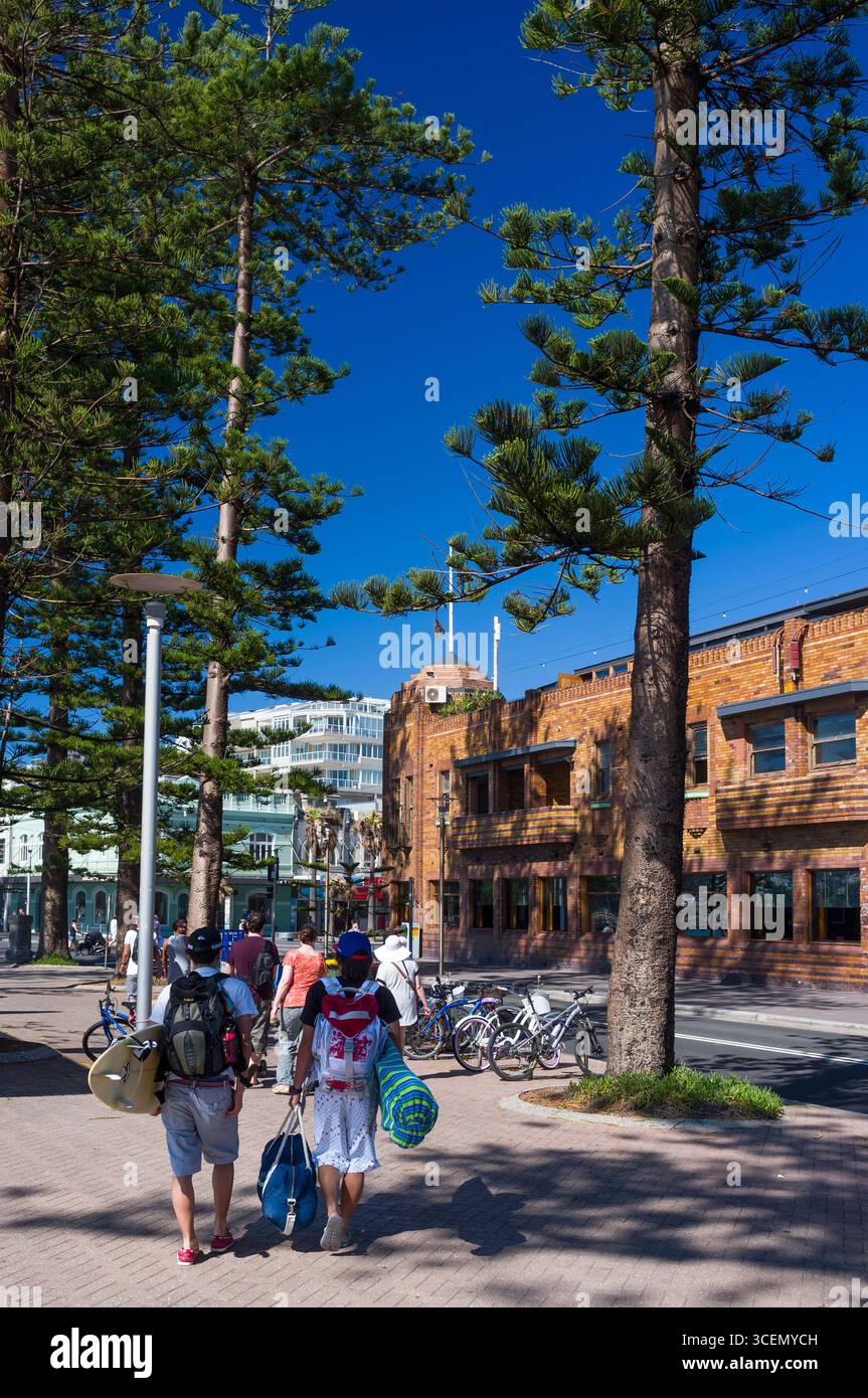 La gente camminare portando le tavole da surf, North Steyne, Manly Beach, Manly, Nuovo Galles del Sud, Australia Foto Stock