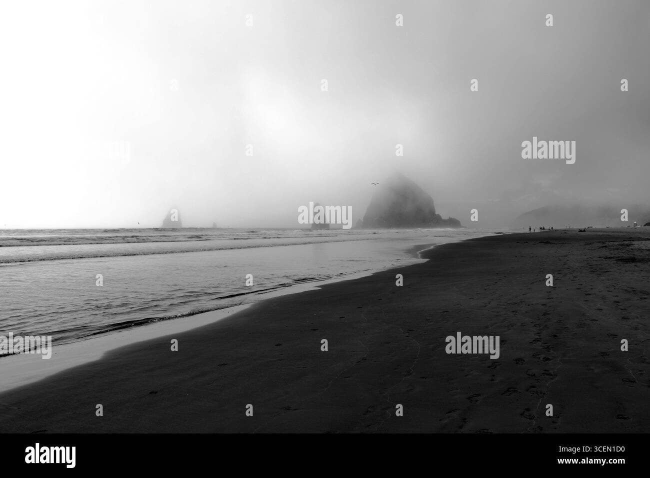 Serata nebbiosa a Haystack Rock, Cannon Beach, Oregon Foto Stock Serata nebbiosa a Haystack Rock, Cannon Beach, Oregon Foto Stock